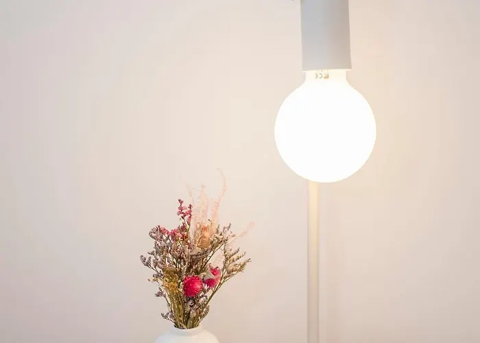 Liiiving In - Alma De Santa Catarina Porto