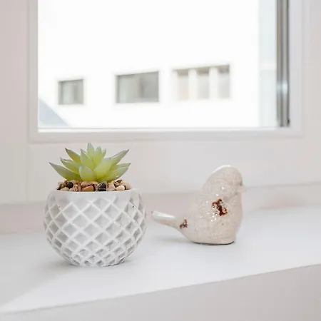 Apartment Liiiving In - Alma De Santa Catarina *