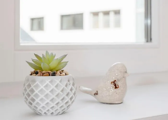 Apartamento Liiiving In - Alma De Santa Catarina *