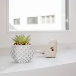 דירה Liiiving In - Alma De Santa Catarina *