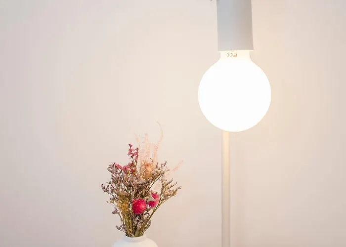 Liiiving In - Alma De Santa Catarina